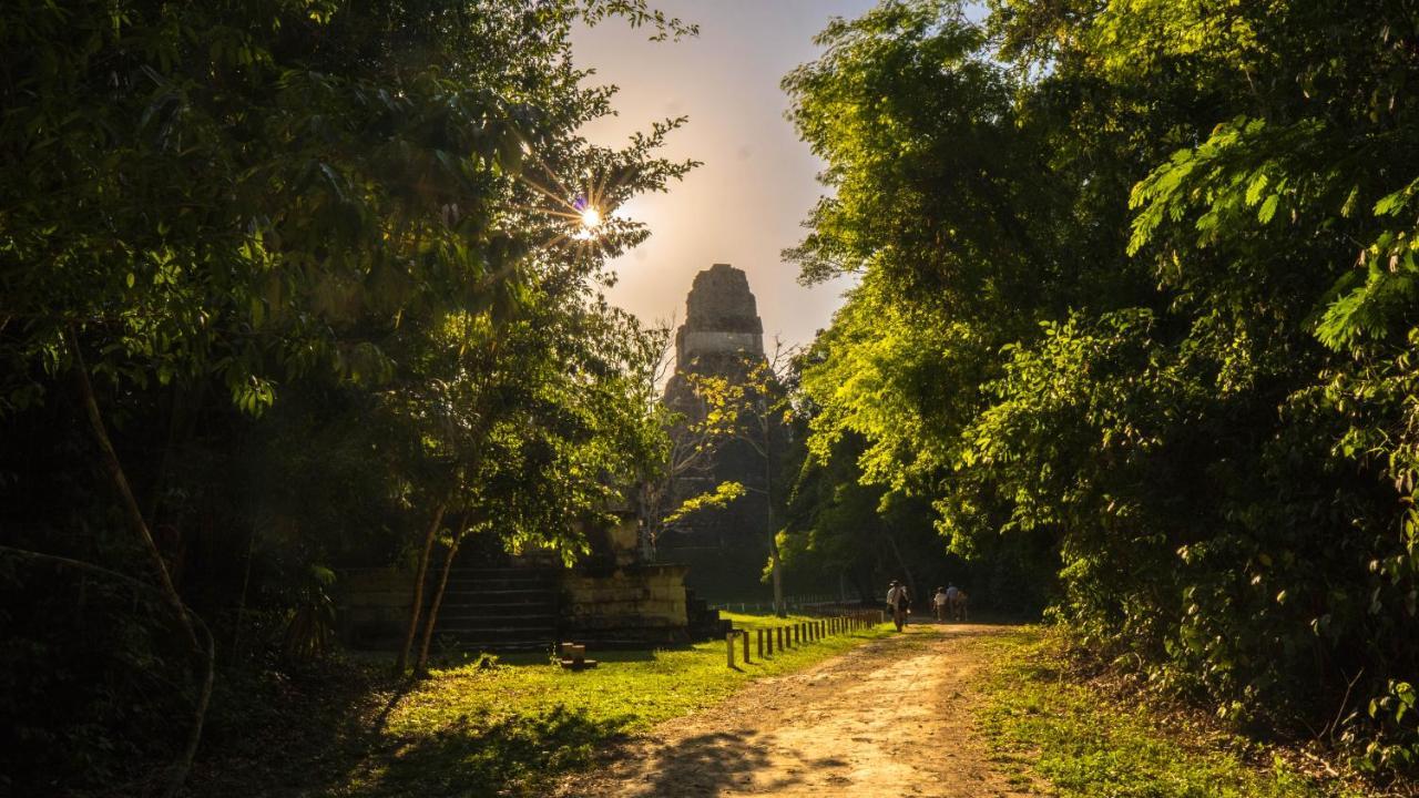 Hotel Jungle Lodge Тикаль Экстерьер фото