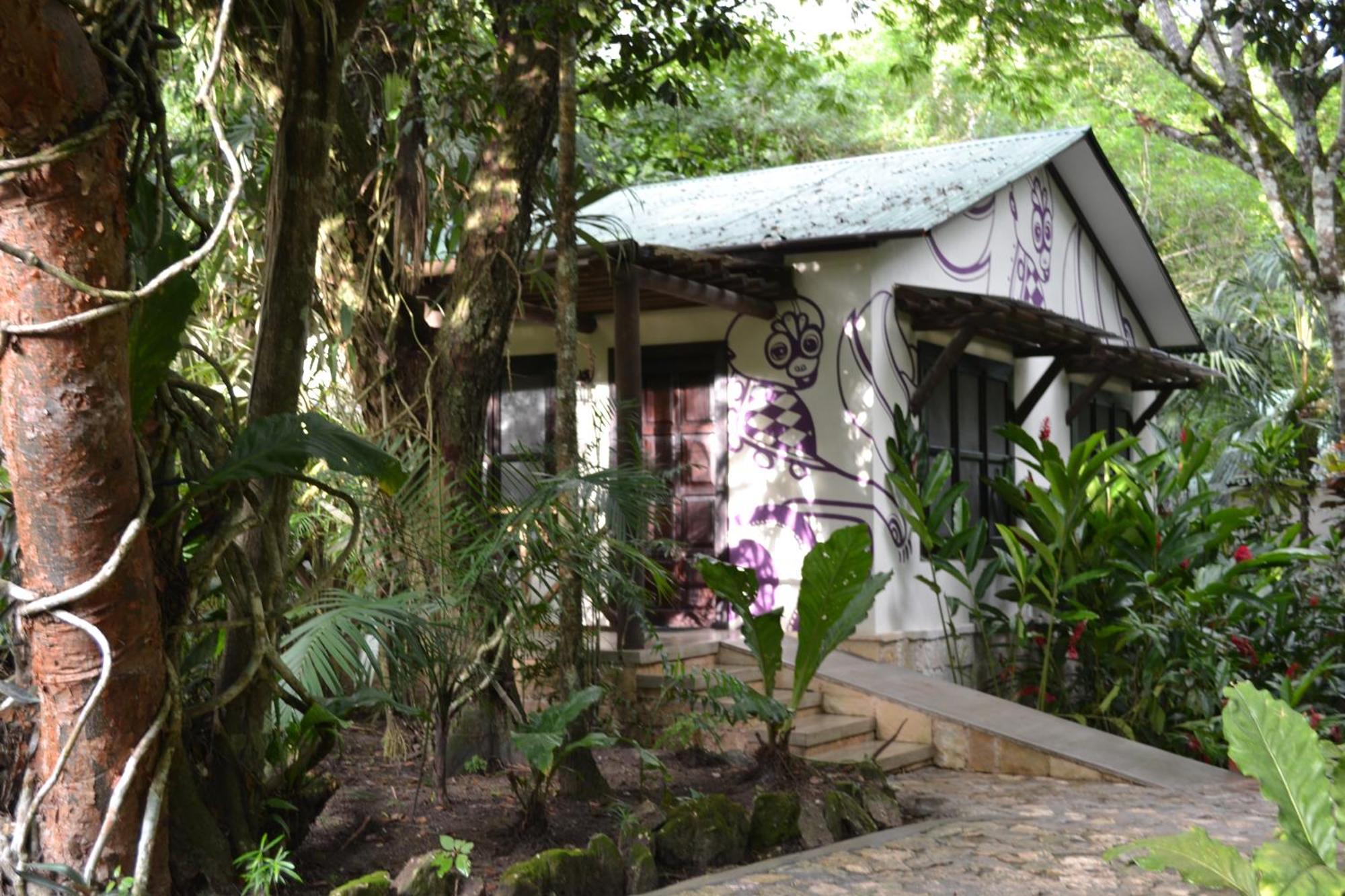 Hotel Jungle Lodge Тикаль Номер фото