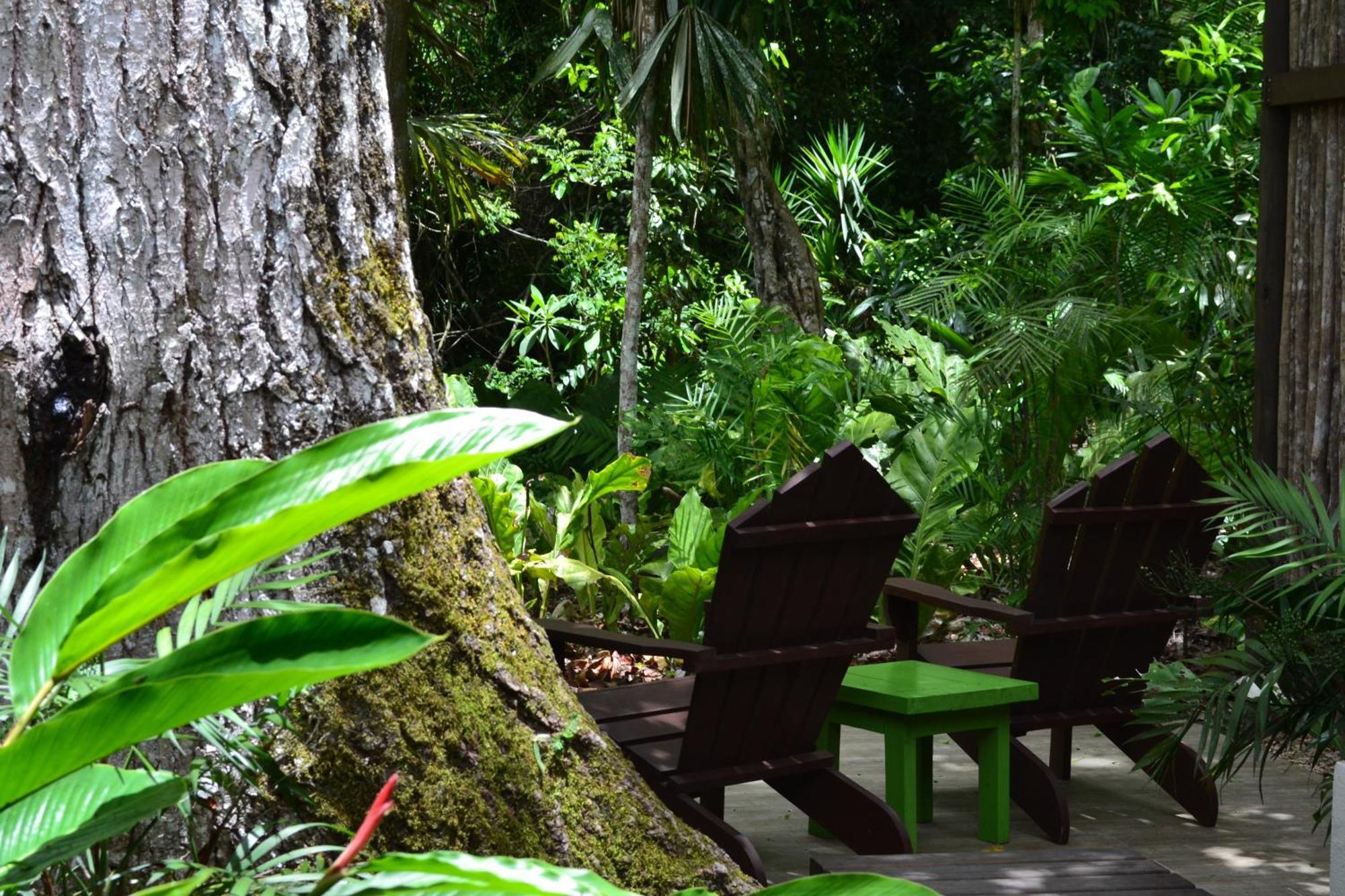 Hotel Jungle Lodge Тикаль Номер фото