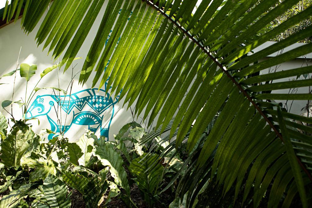 Hotel Jungle Lodge Тикаль Экстерьер фото