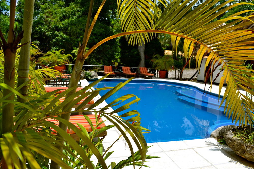 Hotel Jungle Lodge Тикаль Экстерьер фото