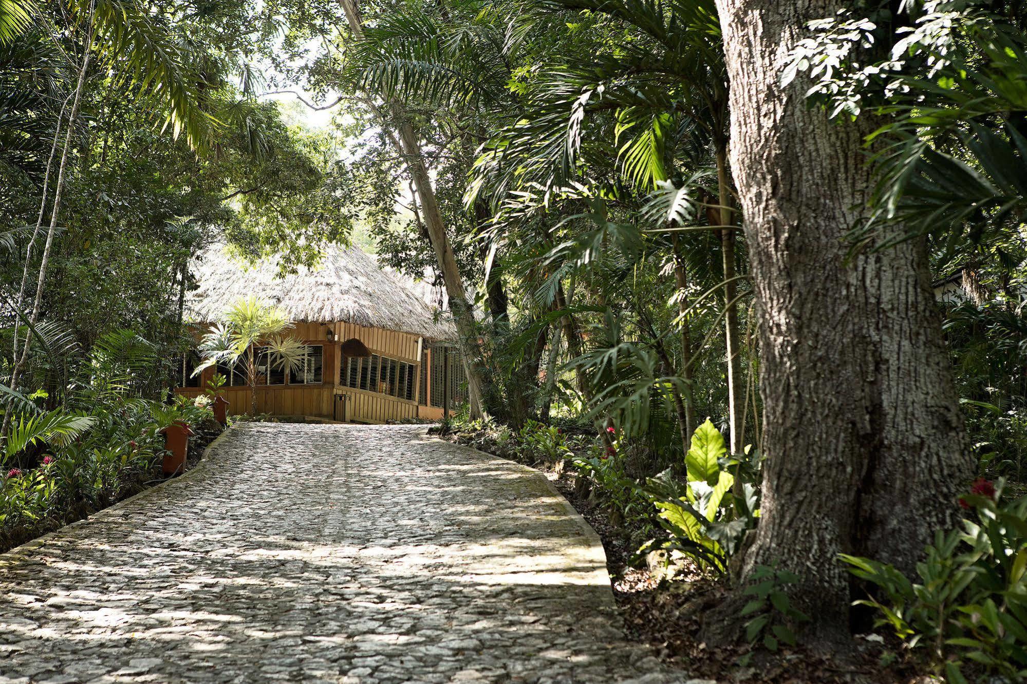 Hotel Jungle Lodge Тикаль Экстерьер фото